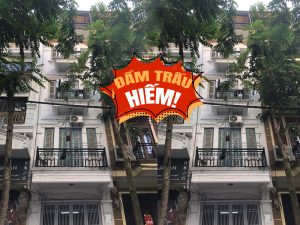 Bán liền kề Đầm Trấu, khu B 1 căn duy nhất 15.8 tỷ, ở vip, KD dòng tiền bền vững